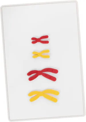 1 Set Model Biology Teaching Models Biology Change Models Teach Change Models Show Change Models Display Change Model