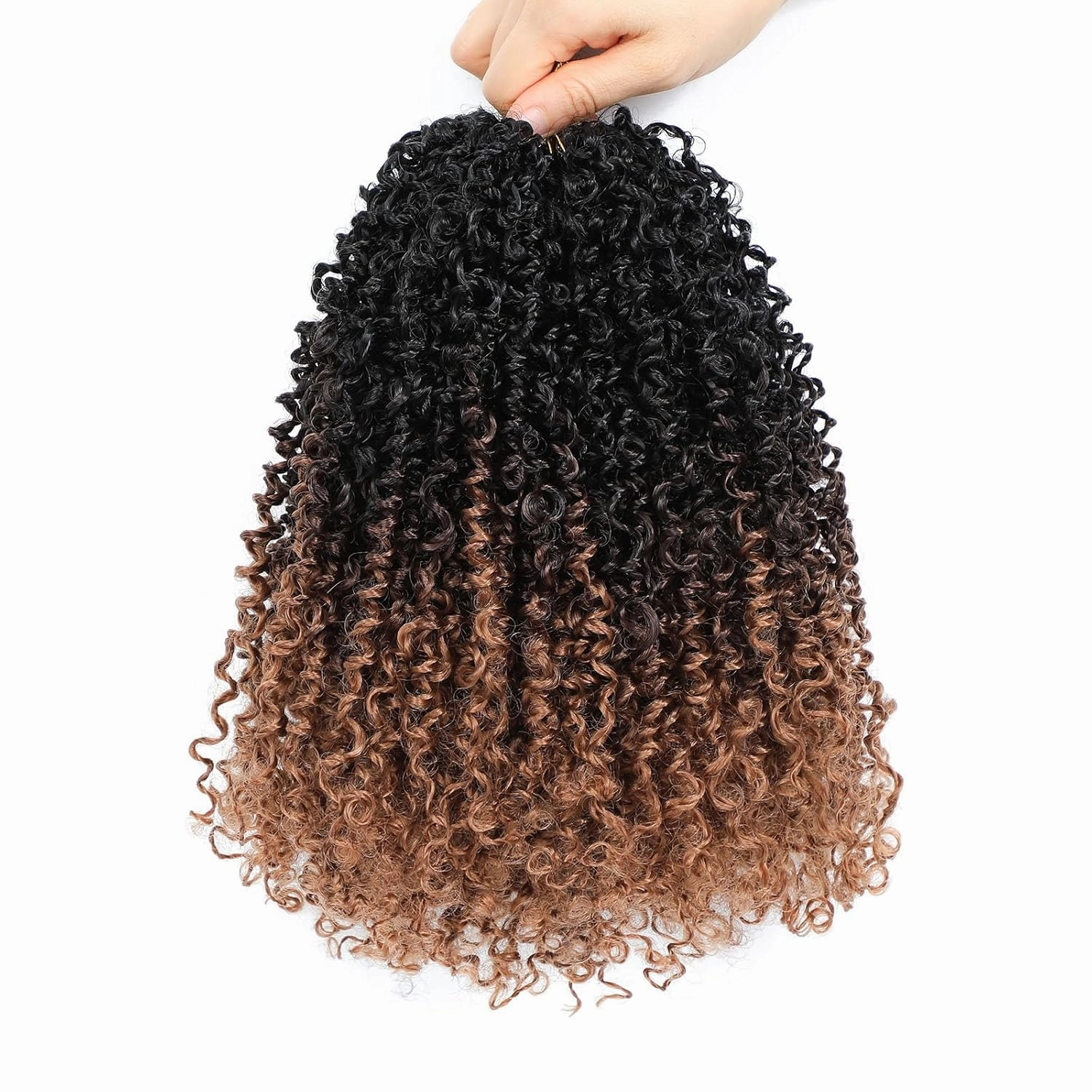 Aksice 10 Inch 8 Packs Yanky Twist Crochet Hair for Women Pre-looped Mini Twist Hair Bohemian Passion Twist Crochet Hair Boho Crochet Synthetic Hair (1B/4/30)