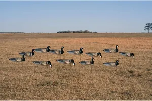 Avery GHG Pro-Grade Windsock Decoys - Canada Goose with Painted Heads