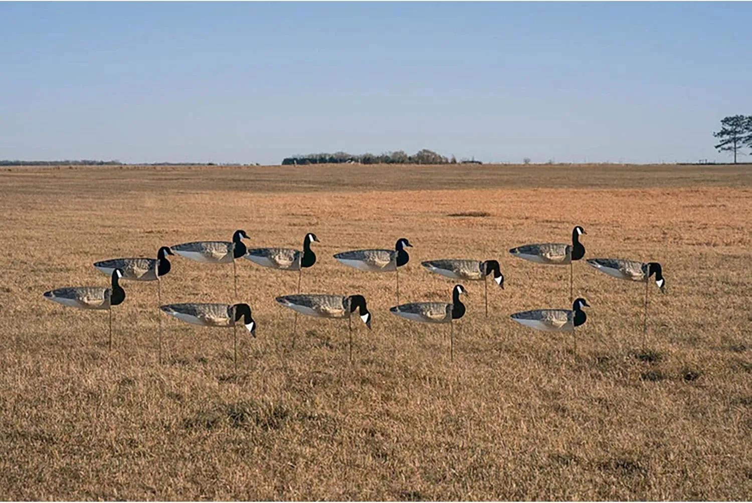 Avery GHG Pro-Grade Windsock Decoys - Canada Goose with Painted Heads