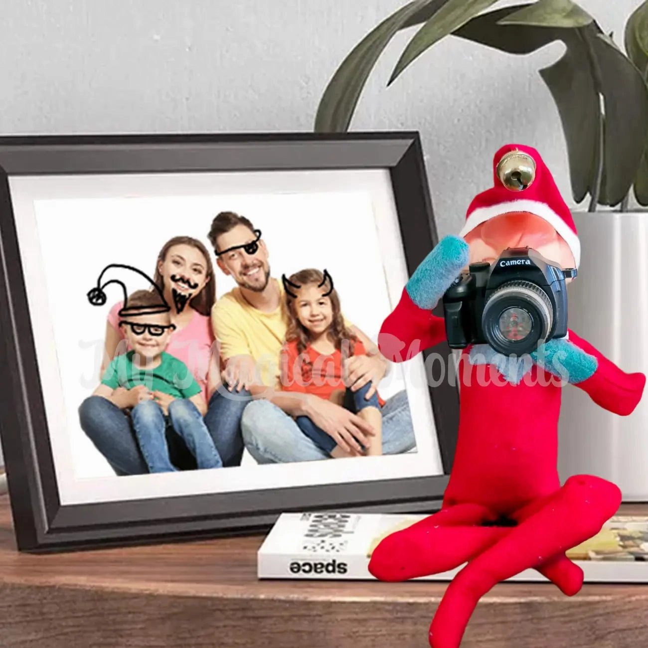 Camera (Flashing)