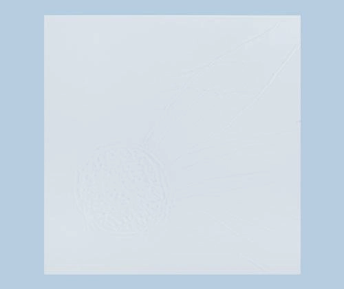 Clear Acrylic Shapes Bases