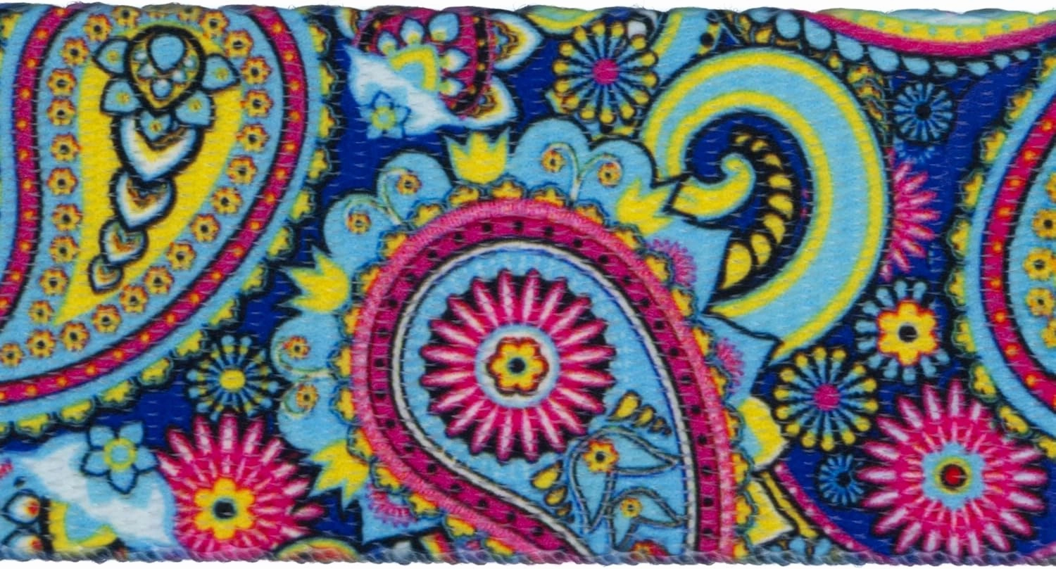 Country Brook Design - Bright Paisley Polyester Webbing (2 Inch, 10 Yards)