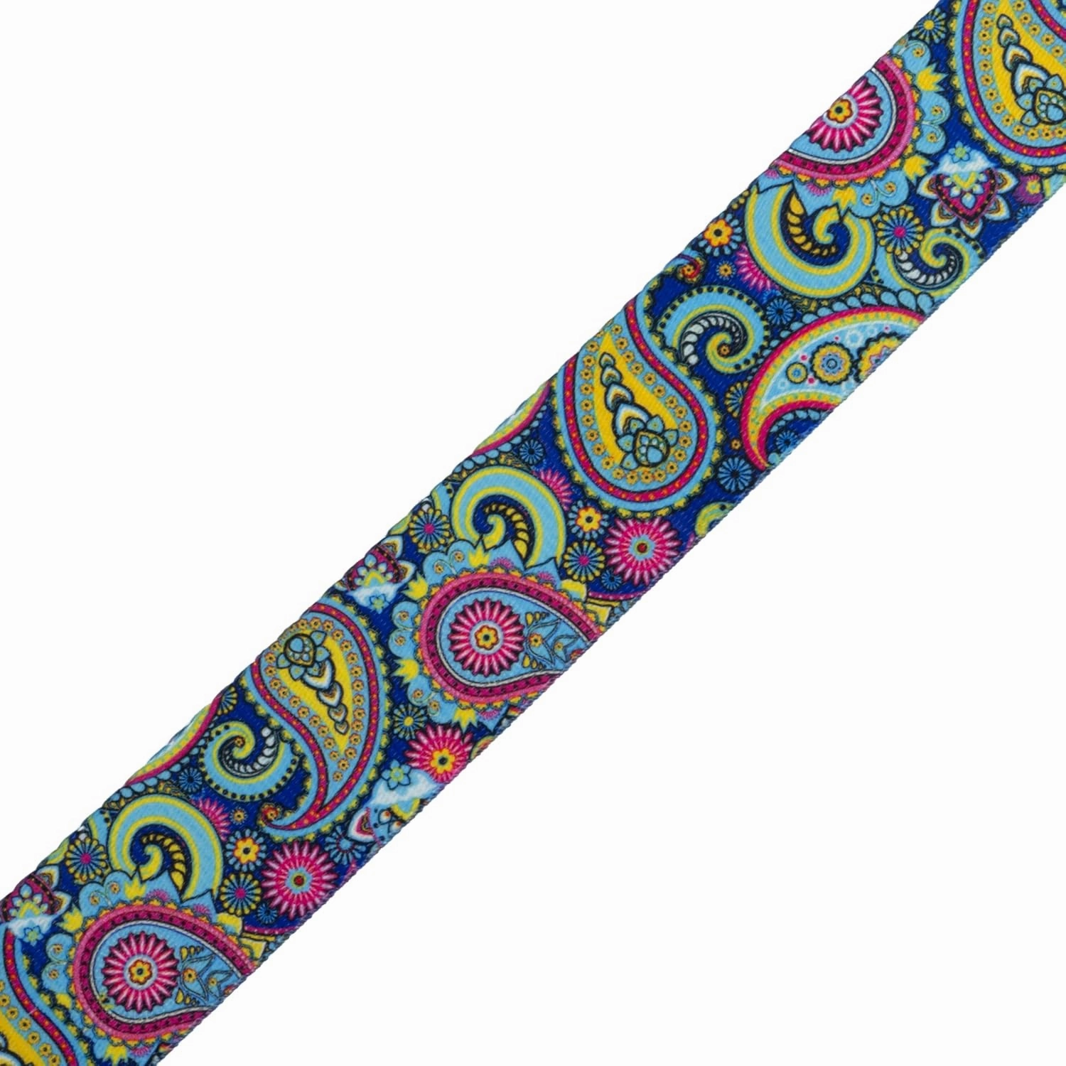 Country Brook Design - Bright Paisley Polyester Webbing (2 Inch, 10 Yards)