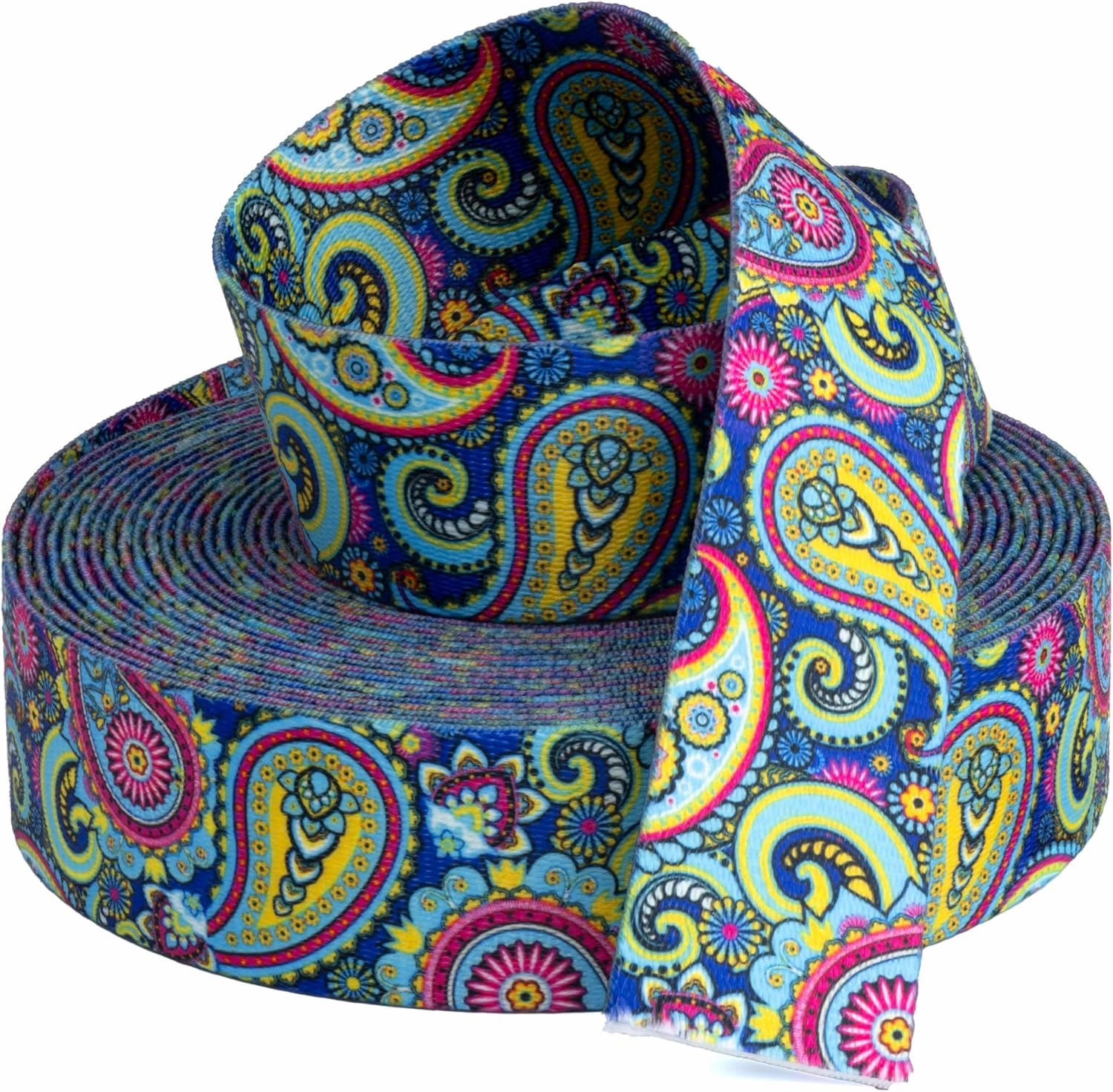Country Brook Design - Bright Paisley Polyester Webbing (2 Inch, 10 Yards)