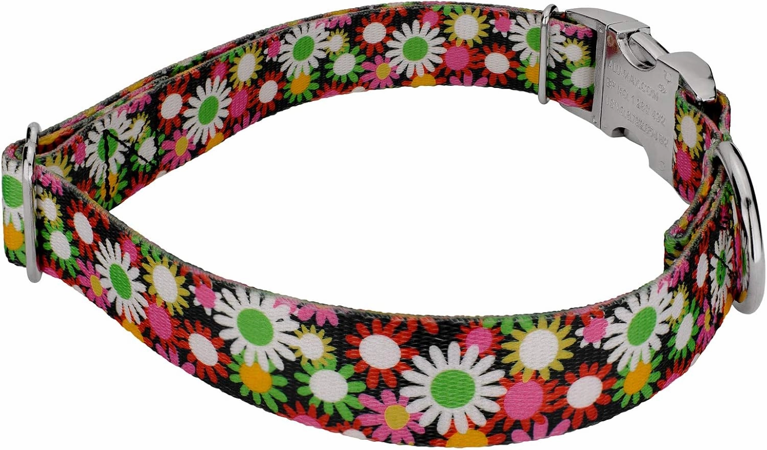 Country Brook Petz - Premium Daisy Fields Dog Collar and Leash - Floral Collection Featuring Charming Designs (1 Inch, Large)