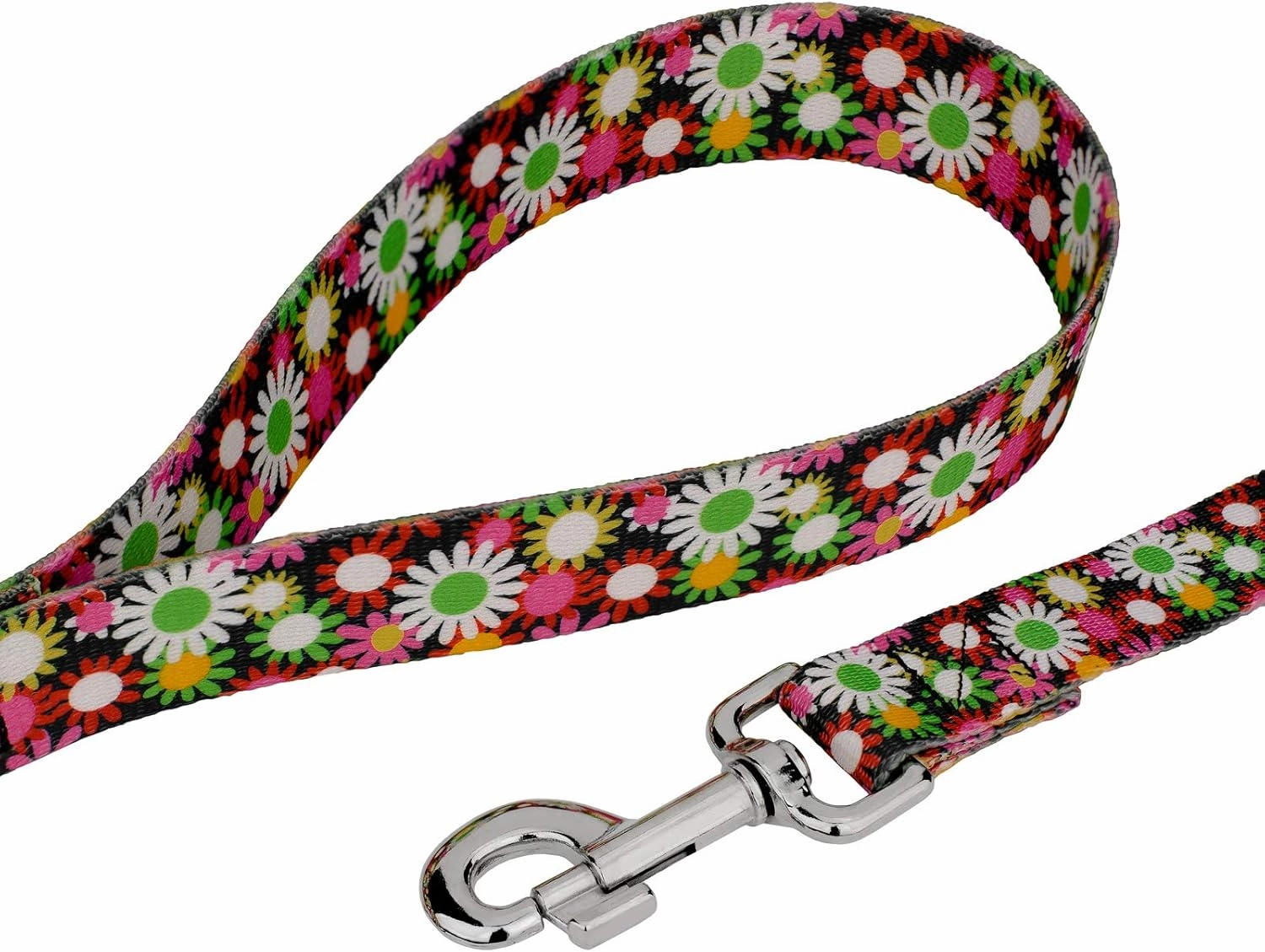 Country Brook Petz - Premium Daisy Fields Dog Collar and Leash - Floral Collection Featuring Charming Designs (1 Inch, Large)