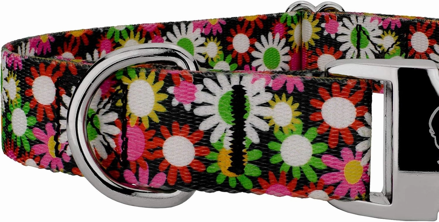 Country Brook Petz - Premium Daisy Fields Dog Collar and Leash - Floral Collection Featuring Charming Designs (1 Inch, Large)