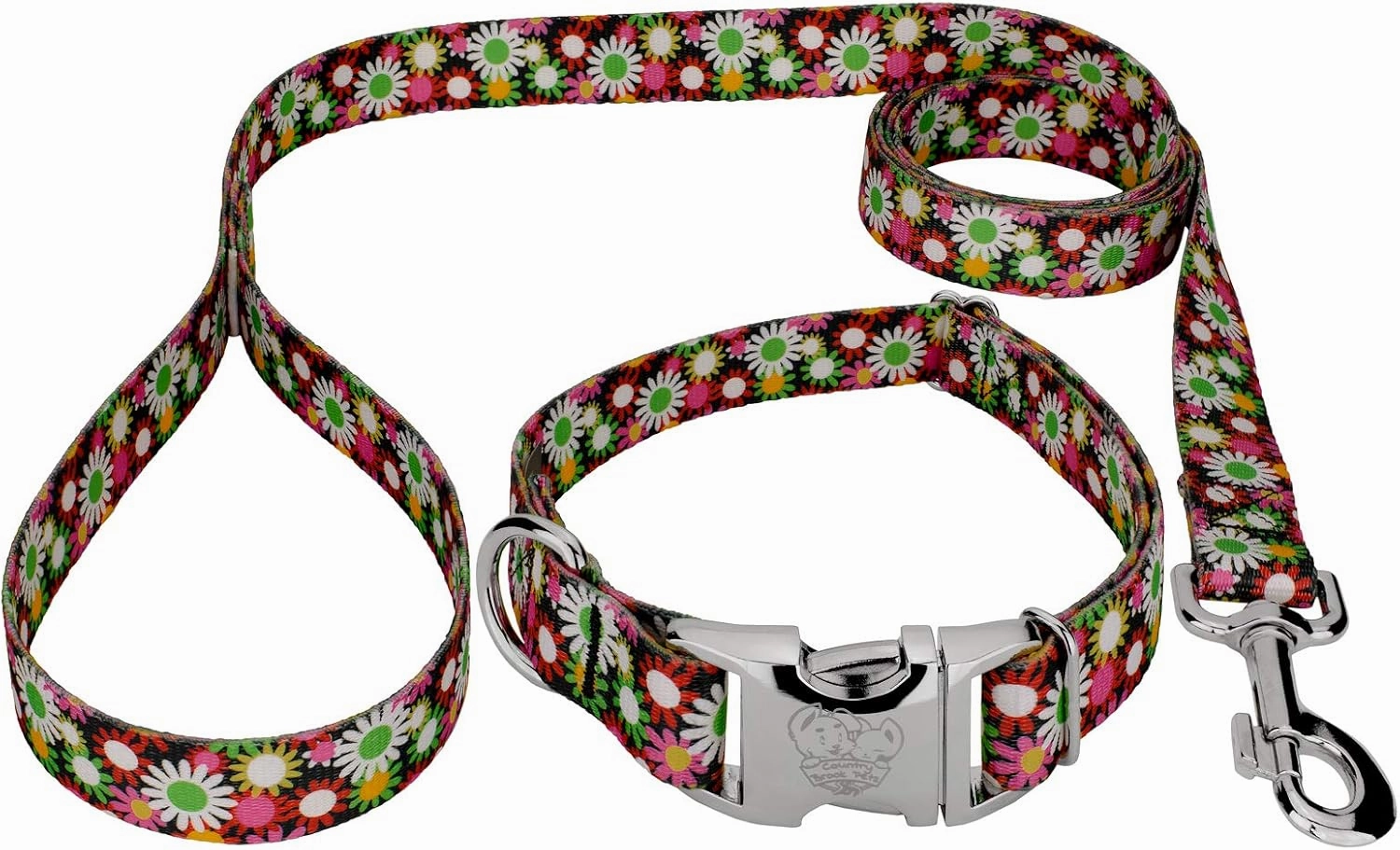 Country Brook Petz - Premium Daisy Fields Dog Collar and Leash - Floral Collection Featuring Charming Designs (1 Inch, Large)