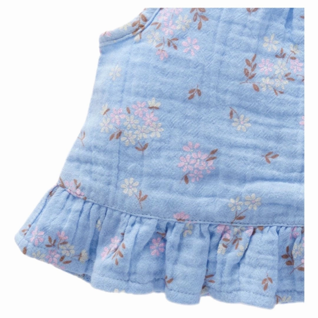 Daisy Set-  Painted Petals
