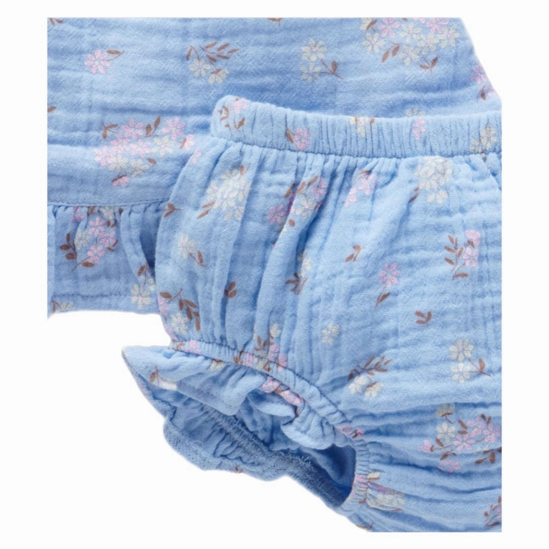 Daisy Set-  Painted Petals