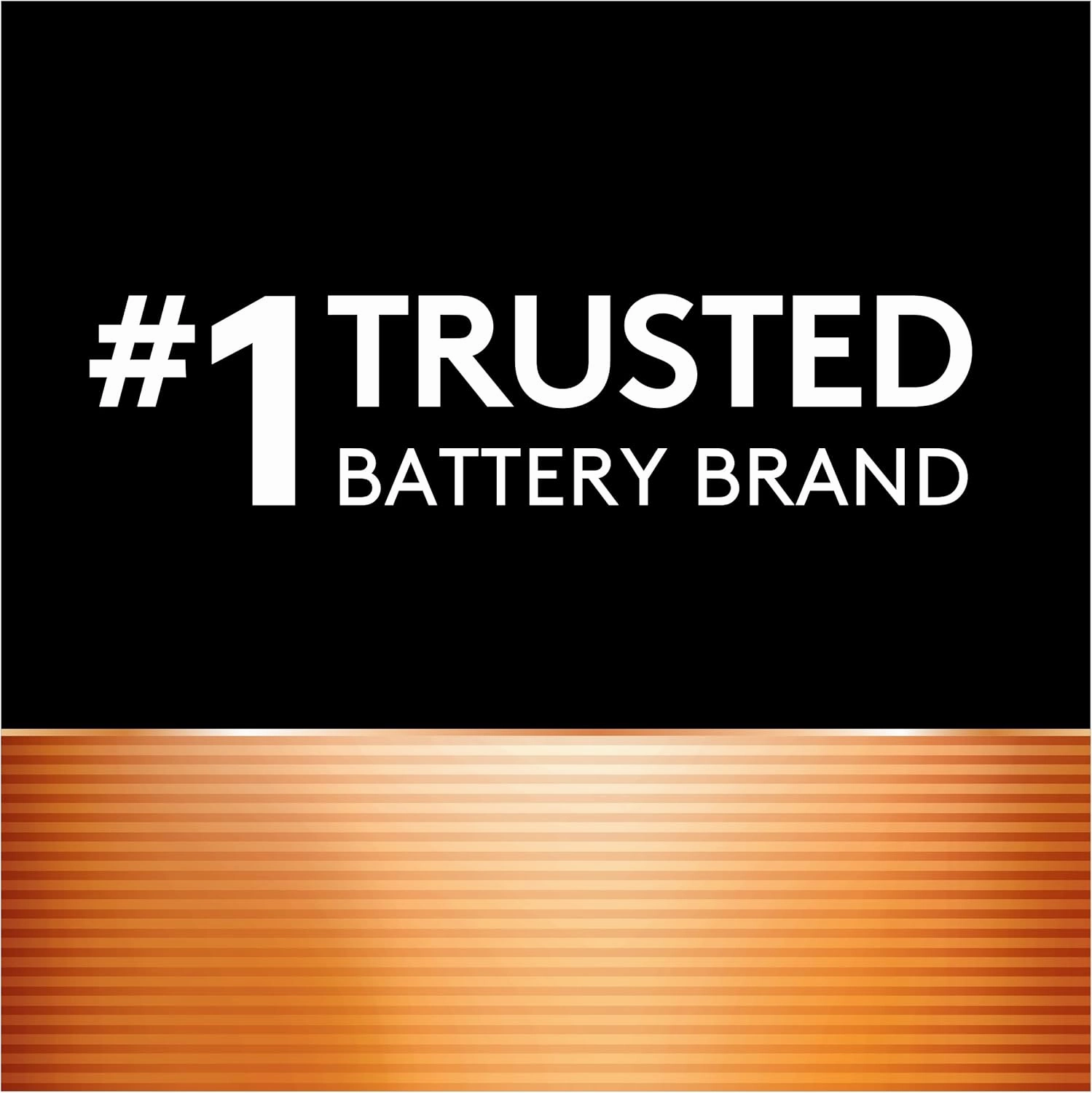 Duracell Ion Speed 1000 Charger for Rechargeable AA and AAA Batteries, Includes 6 AA and 2 AAA Pre-Charged Batteries for Household and Business