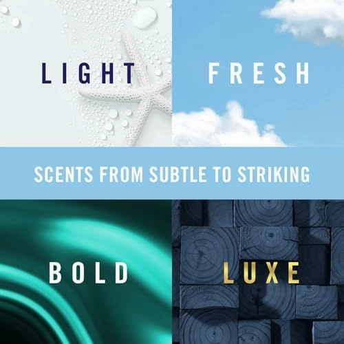 Febreze Vent Clip Car Air Freshener, Odor Eliminator, Auto Noir Scent, 4 Clips (2 Packs)