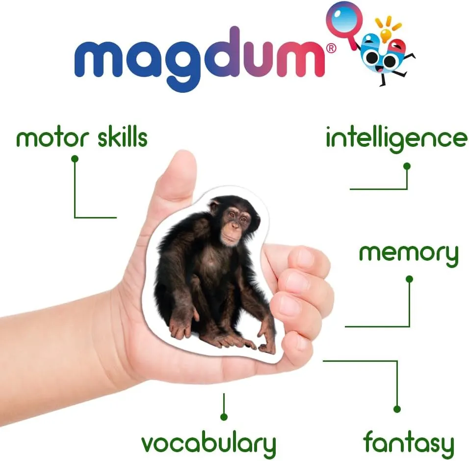 Fridge Magnets For Toddlers Magdum - 110 SET ZOO FARM FRUIT VEGETABLE TRANSPORT Fridge Magnets -Magnets For Toddlers - Fridge Magnets For Kids - Kids Magnets - Magnetic Shapes- Kids Magnets For Fridge