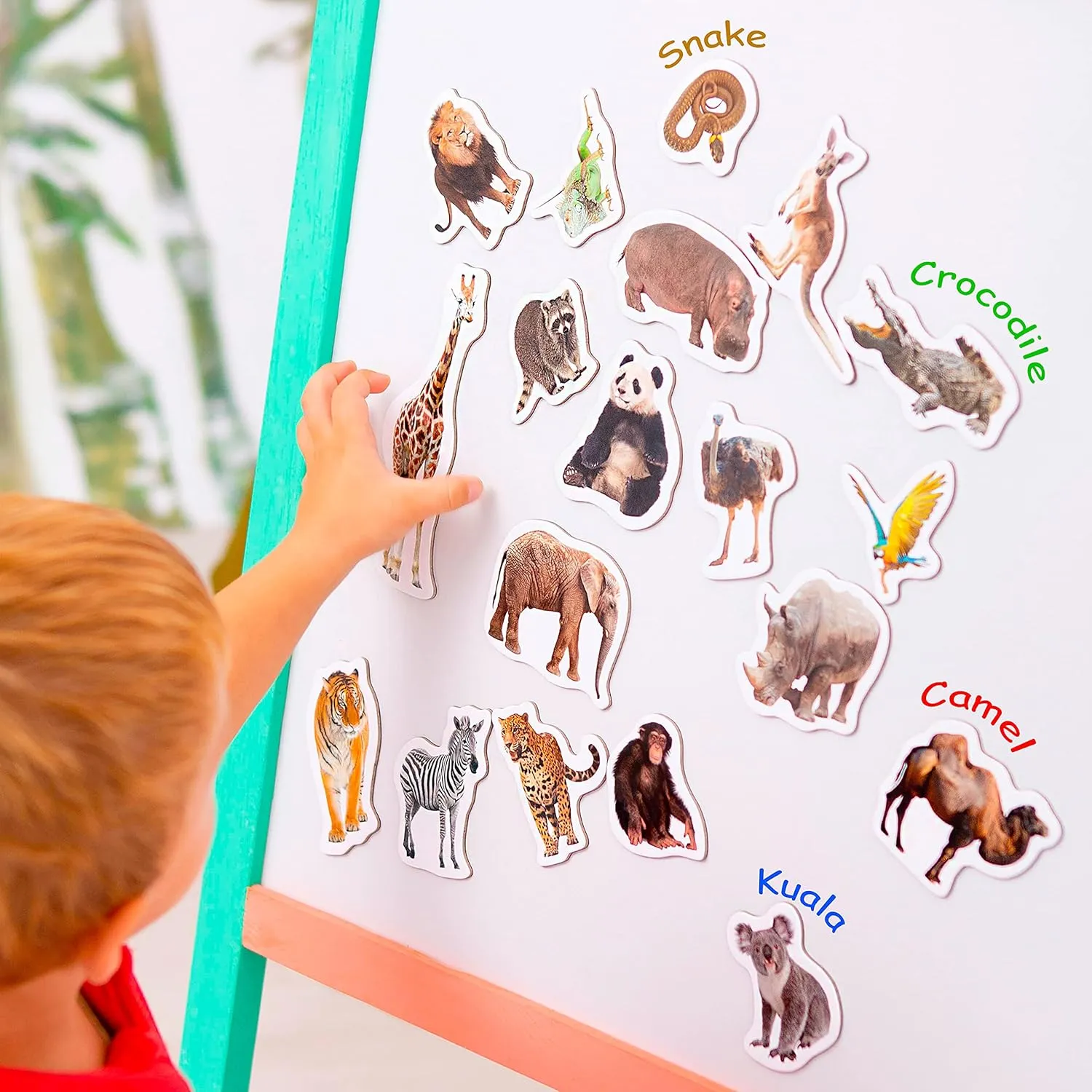 Fridge Magnets For Toddlers Magdum - 110 SET ZOO FARM FRUIT VEGETABLE TRANSPORT Fridge Magnets -Magnets For Toddlers - Fridge Magnets For Kids - Kids Magnets - Magnetic Shapes- Kids Magnets For Fridge