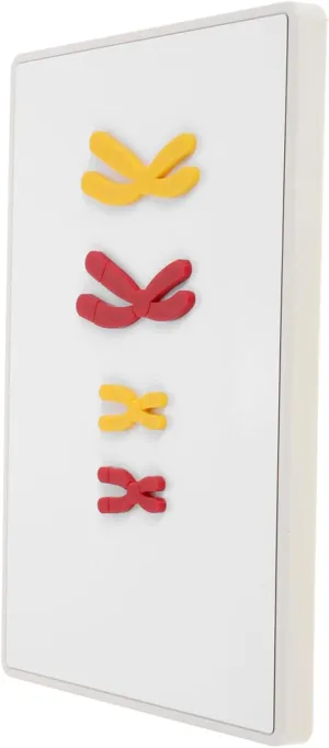 Kisangel 1 Set Model Biology Supplies Teaching Props Teaching Models Display Change Model School Supply Teaching Aid Biology Change Model Plastic