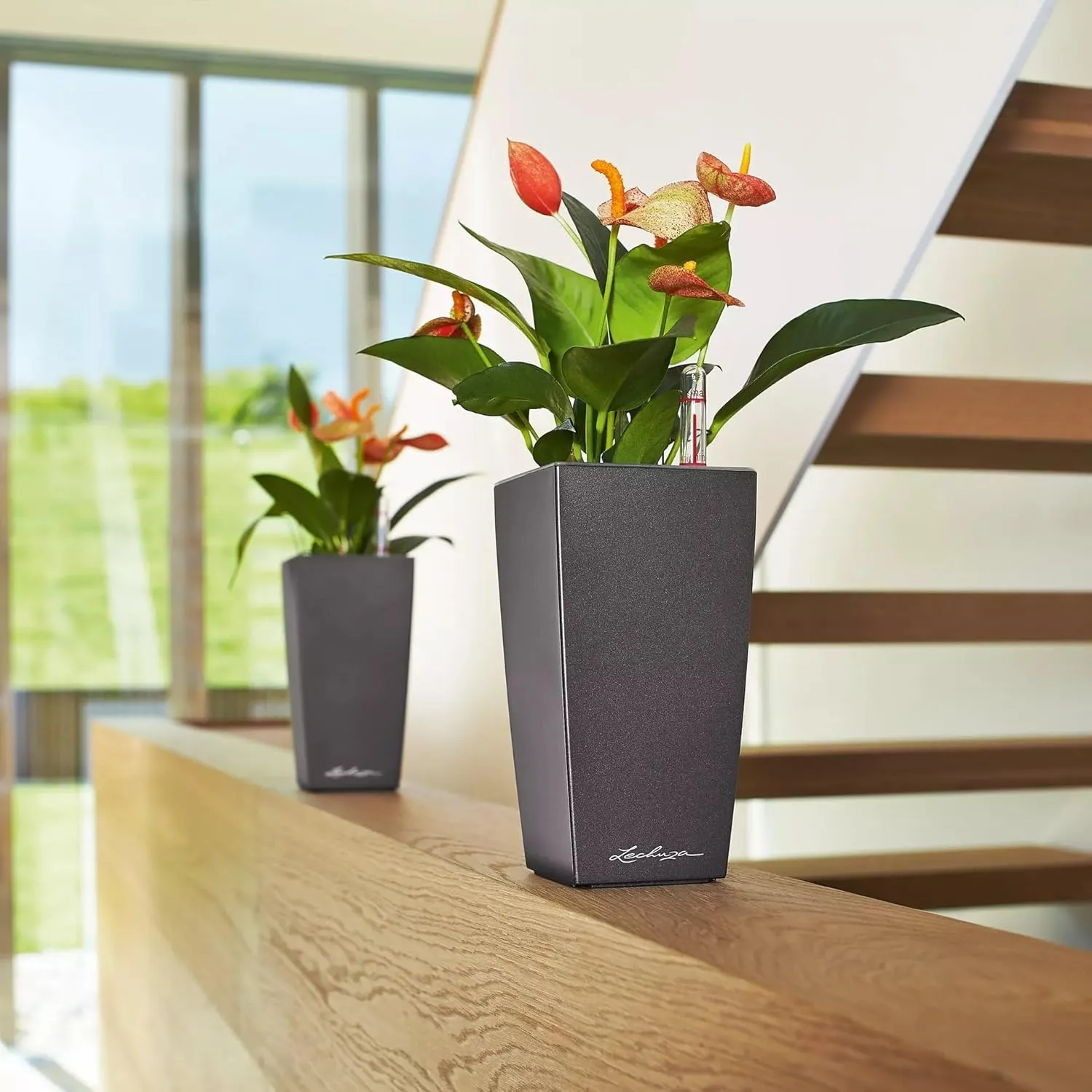 Lechuza Cubi Premium 9 Planter with Water Level Indicator, Mini, Charcoal Metallic