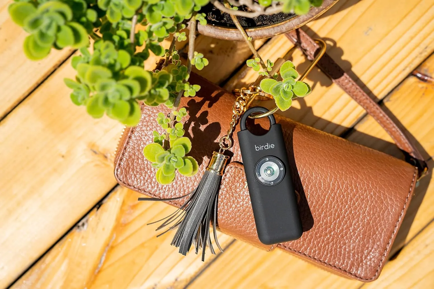 She’s Birdie–The Original Personal Safety Alarm for Women by Women–Loud Siren, Strobe Light and Key Chain in a Variety of Colors (Charcoal)