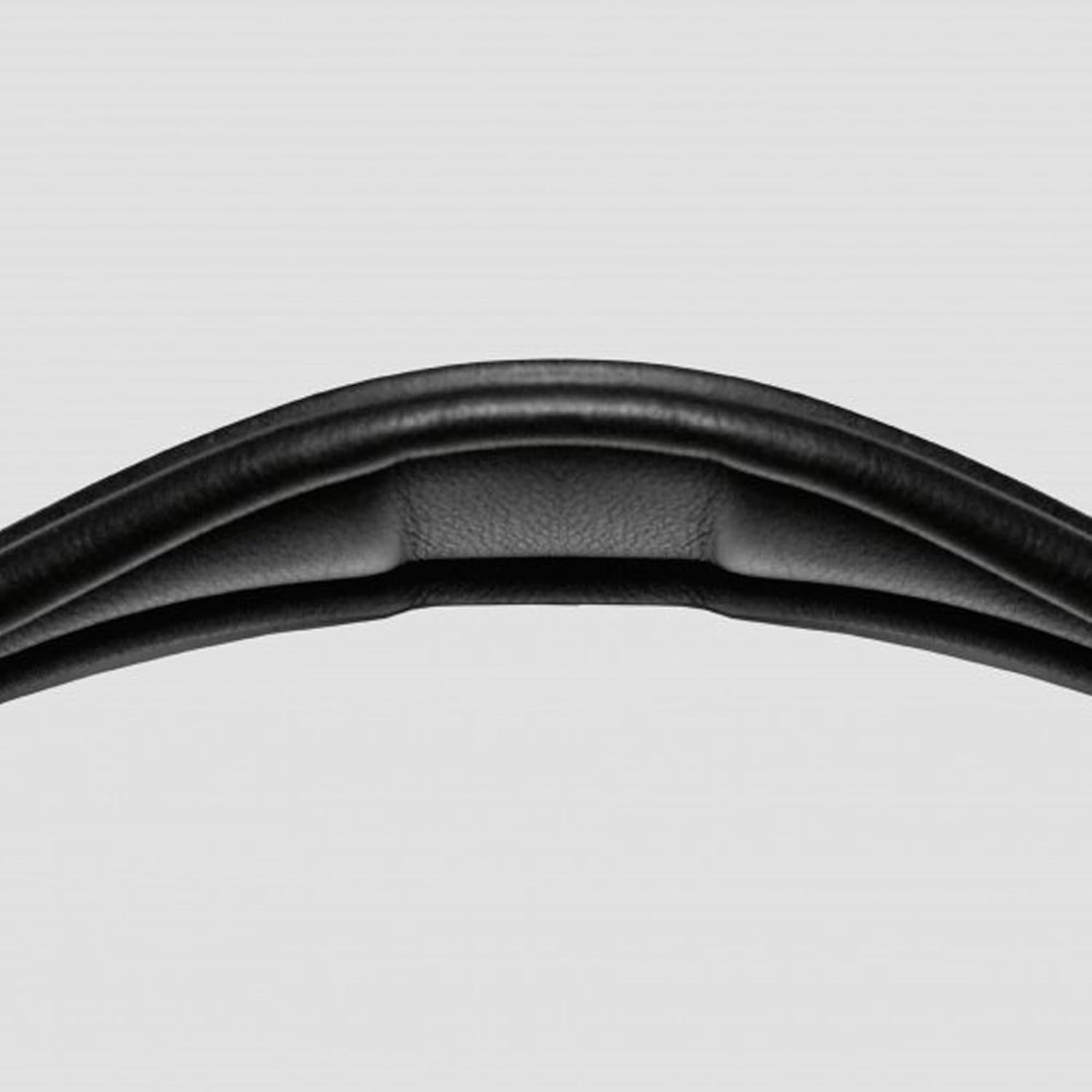Snaffle Bridle Balance