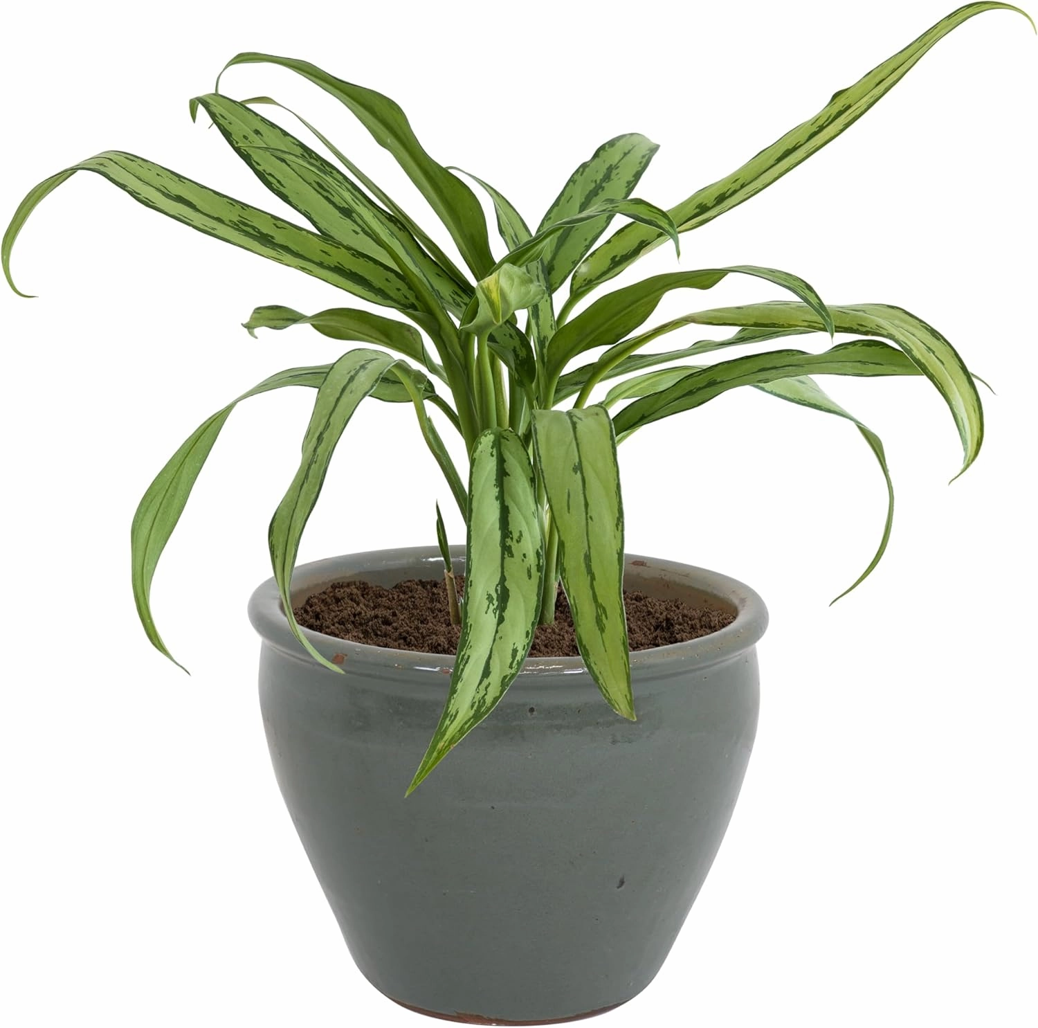 Sunnydaze 14.5" Large Ceramic Plant Pot - Round Outdoor Glazed Ceramic Planter Pot with Drainage - Gray - Chalet