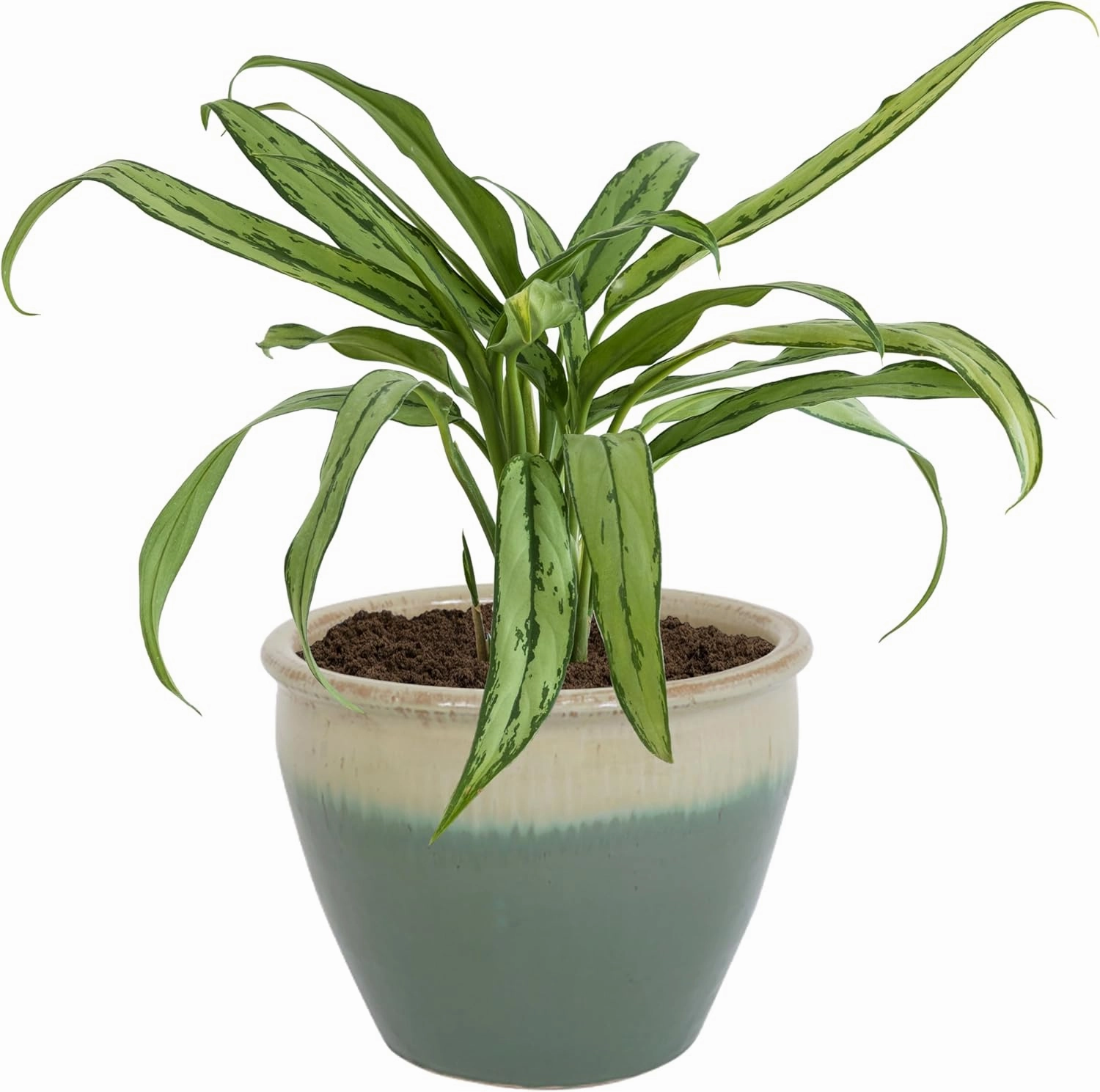 Sunnydaze 14.5" Large Ceramic Plant Pot - Round Outdoor Glazed Ceramic Planter Pot with Drainage - Seafoam - Chalet
