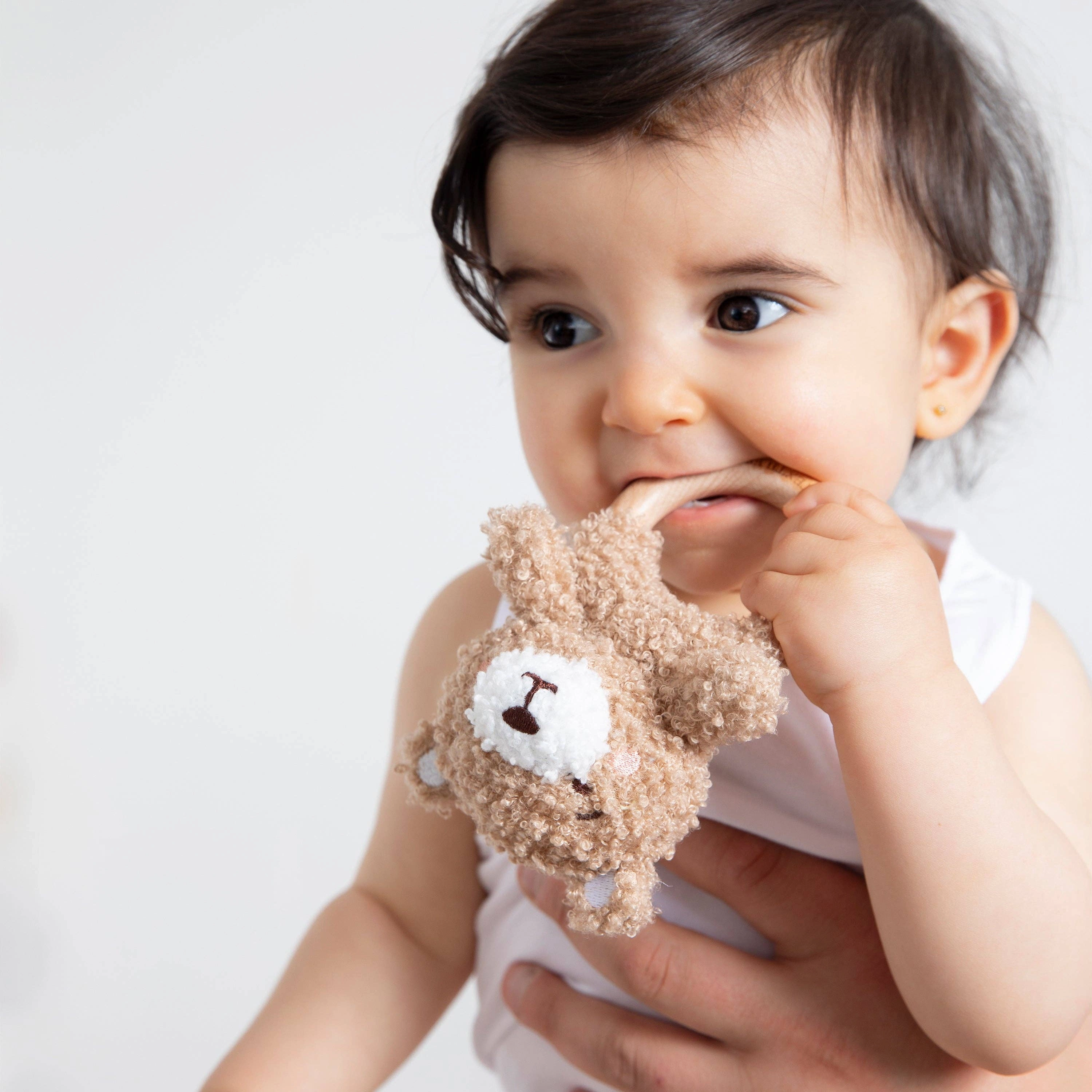 Teething Ring & Dummy Chain Gift Set - Cuddly Bear