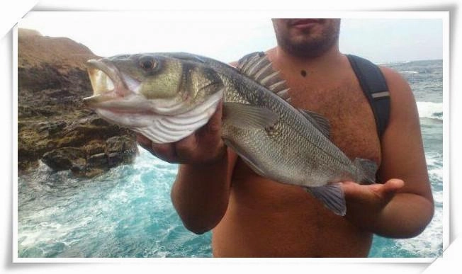 USB Rechargeable LED Twitching Fish Lure